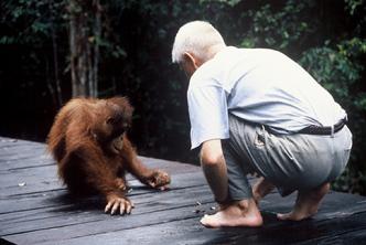 Orangutan Aid Hong Kong & Borneoo