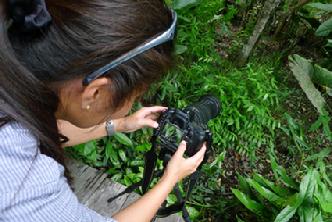 Orangutan Photography tours Borneo